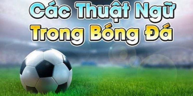 Thuật ngữ cần nắm trong cách đọc kèo chuẩn tại 88CLB